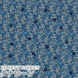 LIBERTYoeBvg Y^i[n(G^[i)Abasan Spot(AoTEX|bg)yu[×lCr[hbgzDC33571ZE