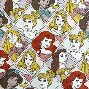 fBYj[vZX Ђ` IbNXnt@ubN }`J[(fBYj[ LN^[ wʉʊw bXobO )GR-1123-1A