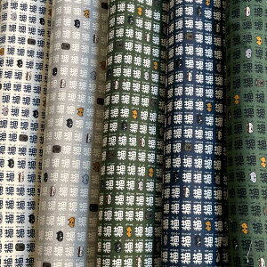 ȖLoXn wLOxi̓ەyL/L/lR//ȖLoXzKTS7022