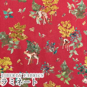 LIBERTYoeBvg C^A~l[g(rj[R[eBOn)Forest Delights(tHXgfCc)ybhzMATLAMI363J7307-Bs2023AW LIBERTY ANIMALSt