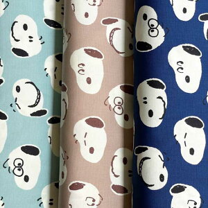 Xk[s[ s[ibc rbOtFCX IbNXn TbNX/RRA/lCr[ (LN^[ wʉʊw bXobO V[YobO )G-3708