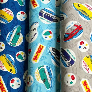 v[@N IbNX lCr[/TbNX/O[ (g~J LN^[ wʉʊw bXobO V[YobO )G-6121