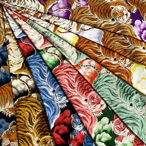 SՕ [߂񐶒n a AnVc g 5-WAGARA-HDPT2-1