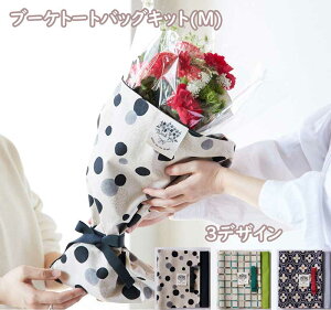 �u�[�P�g�[�g�o�b�O�L�b�g M�T�C�Y ��̓� �M�t�g �G�R�o�b�O ���n ��Â���L�b�g LGK-2