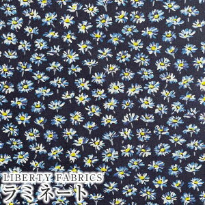 LIBERTYoeBvg Y~l[g(rj[R[eBOn)yG^[izBellis(xX)ylCr[nzMATLAMI3635186YE