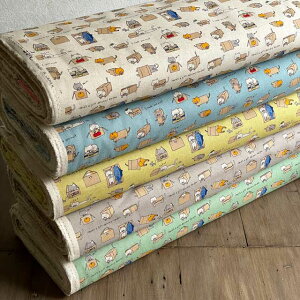 ȖLoXn w˂x_{[fo[yL/L/lR//ȖLoXzKTS6970