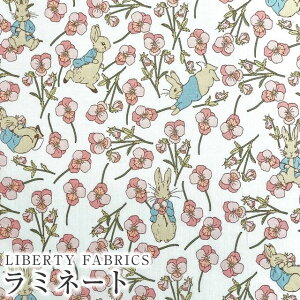 s[^[rbg(TM)×oeBt@ubNX Y~l[g(rj[R[eBOn)Ros Rabbit(XErbg)yT[sNzMATLAMI-DC32844-J23D