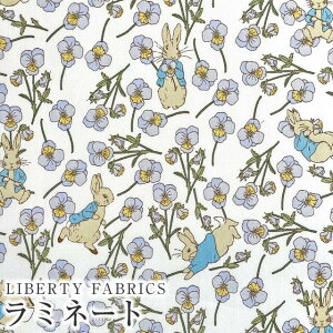 s[^[rbg(TM)×oeBt@ubNX Y~l[g(rj[R[eBOn)Ros Rabbit(XErbg)yx_[zMATLAMI-DC32844-J23E