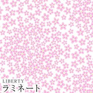 LIBERTYoeBvg Y~l[g(rj[R[eBOn)Ditsy Dot(fBbcBhbg)ysNzMATLAMI3633106-23BTs2023SS BEAUTY AND CHAOSt