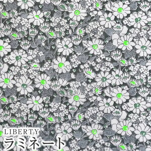 LIBERTYoeBvg Y~l[gy2023SS Neon Liberty lIoeBzAlice Neon(AXlI)yO[lIzMATLAMI-DC32677-J23E