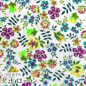 LIBERTYoeBvg Y^i[ny2023SS Neon Liberty lIoeBzEdenham Neon(GfilI)yO[lIzDC32681-J23B