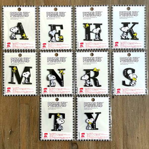 Xk[s[ CjVby V[EACڒpby SNOOPY At@xbg hJ RIO-SNIW