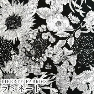 LIBERTYoeBvg Y~l[g(^i[rj[R[eBOn)yG^[izSwim Dunclare(XEBE_NA)yzMATLAMI5672151S-TE