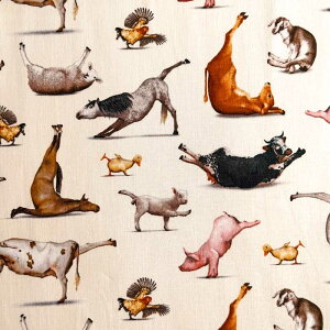 USARbg Yoga is for Everyone(KCYtH[Gu)V[`On ̃K Elizabeth's Studio(GUxXX^WI)8300-CREAM