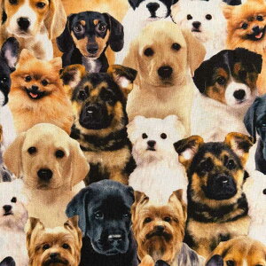 USARbg Dog(hbO)V[`On Ck Timeless Treasures(^CXgW[)CD1679-MULTI