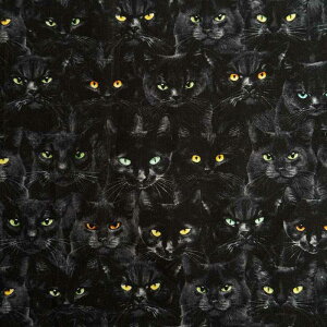 USARbg Cat(Lbg)L V[`On ˂ Timeless Treasures(^CXgW[)CD1831-BLACK