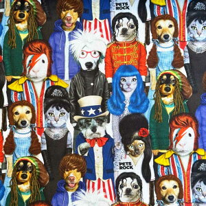 USARbg Multi Pets Rock Packed Animals(ybgbNEpbNhAj}) bNȃybg V[`On Michael Miller(}CP~[)DDC10259-MULTI