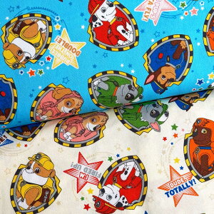 pEpg[  IbNX TbNX/x[W(PAW PATROL LN^[ wʉʊw bXobO V[YobO )G-4621