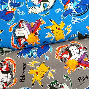 �|�P���� �|�P�b�g�����X�^�[ ���� �I�b�N�X �T�b�N�X/�O���[(POKEMON �L�����N�^�[ �������w�ʉ��ʊw ����)G-6129