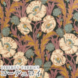 LIBERTYoeBvg R[fC(R[V)nMaudfs Posy([dE|[W[)yx[W×sNz3634221S63-J24B