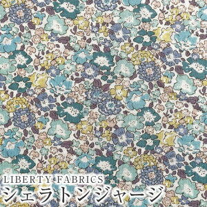 LIBERTYoeBvgEY^iW[Wn(G^[i)60/2VMichelle(~bVF)3636017DK