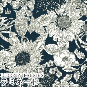 LIBERTYoeBvg Y~l[g(rj[R[eBOn)yG^[izSwim Dunclare(XEBE_NA)MATLAMI5672151S-ZE