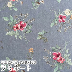 LIBERTYoeBvg Y~l[g(rj[R[eBOn)Irma's Bouquet(C}Yu[P)yO[n×bhԁzMATLAMI-DC34397-J24B