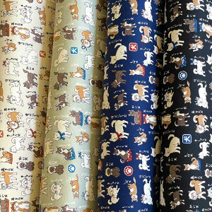 {} Ck IbNX x[W/O[/lCr[/ubN(wʉʊw    )YPA-56030-1