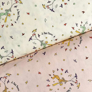 ̉q X^[[XJC IbNXnt@ubN N[/sN(Le Petit Prince LN^[ wʉʊw bXobO V[YobO )G-3660