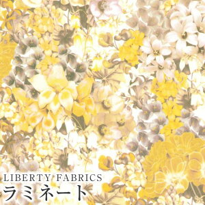 LIBERTYoeBvg Y~l[g(rj[R[eBOn)Painted Travels(yCebhgxY)yCG[zMATLAMI3632015-J24B