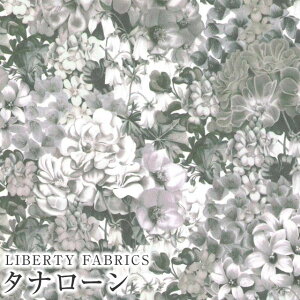 LIBERTYoeBvg Y^i[nPainted Travels(yCebhgxY)yO[z3632015-J24C