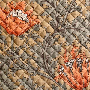 yBEST OF MORRISLeBOzmoda fabrics(_Et@ubNX)William Morris EBAX V[`OLeBOnAnemone(All)FENNEL GREEN(tFlO[)8217-20Q