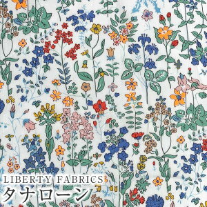 LIBERTYoeBvg Y^i[ny2024SS Neon Liberty lIoeBzNeon Fields(lIEtB[Y)yIWlIzDC33790-J24C