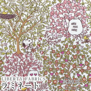 PEANUTS(TM)Xk[s[×oeBt@ubNX Y~l[g(rj[R[eBOn)Woodstock Day(EbhXgbNEfC)ysN×CgO[zMATLAMI-DC33936-J24E