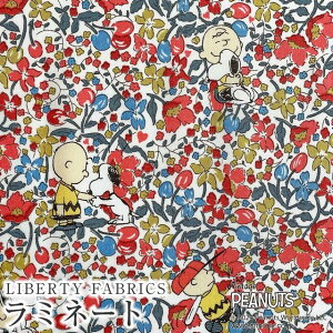PEANUTS(TM)Xk[s[×oeBt@ubNX Y~l[g(rj[R[eBOn)Charlie Brown's Flowers(`[[EuEYEt[Y)ybh×u[zMATLAMI-DC33937
