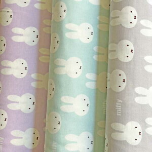 ~btB[ tFCX IbNXnt@ubN x_[/~g/O[(LN^[ wʉʊw bXobO )G-9922