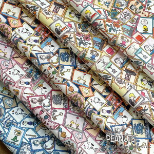 PEANUTS(TM)Xk[s[×oeBt@ubNX Y^i[nJbgNXZbg5聃Stamp Collection(X^vERNV)DC33935 L-Stamp