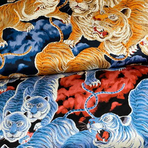 SՕ XJWn a xgW g Be[WnCA SKA-100TORA