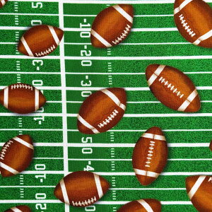 USARbg Green Football Balls On Ground(AJtbg{[)V[`On Timeless Treasures(^CXgW[)CD3718-GREEN