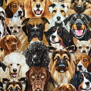 USAコットン Dogs Portrait(ドッグポートレート)犬の絵画 動物 ...