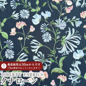 LIBERTY FABRICS oeBvg C^A^i[nAsaka Dream(ATJEh[)ylCr[nzs2025AW Decades in Bloomt363J75905-25AU