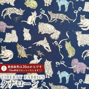 LIBERTY FABRICS oeBvg C^A^i[nKoh & Eito(R[EAhEGCg)ylCr[nzs2025AW Decades in Bloomt363J75911-25AU