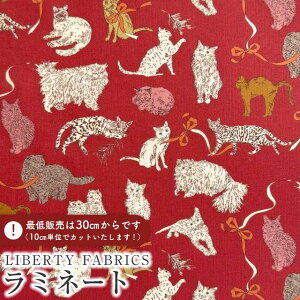 LIBERTY FABRICS oeBvg C^A~l[g(rj[R[eBOn)Koh & Eito(R[EAhEGCg)ybhnzs2025AW Decades in BloomtMATLAMI363J75911-25BU