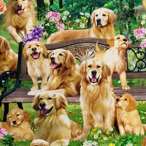 USA�R�b�g�� Golden Retriever Park Yardage(�S�[���f�����g���o�[)�O���[�� �V�[�`���O���n Timeless Treasures(�^�C�����X�g���W���[)CD2944-GREEN