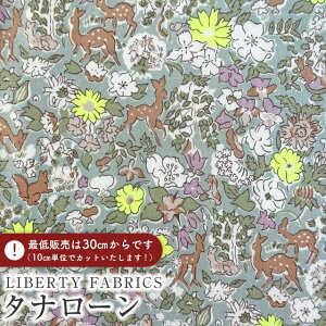 LIBERTY FABRICS oeBvg Y^i[nFergus Neon(t@[KXElI)yCG[lI×u[O[nzDC35071G-J25B