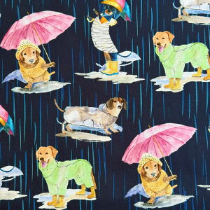 USARbg Dogs in the Rain(J̒̌)Paws in the Rain Collection V[`On lCr[ Michael Miller(}CP~[)DCX12400-NAVY