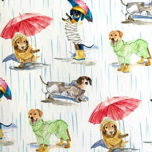 USARbg Dogs in the Rain(J̒̌)Paws in the Rain Collection V[`On zCg Michael Miller(}CP~[)DCX12400-WHITE