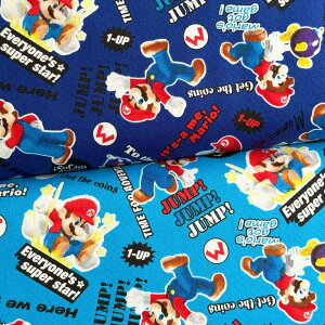 X[p[}I }I IbNXn lCr[/u[(Super MarioELN^[Ewʉʊw)G-9932