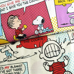 s[ibc AR~ V[`On Jt/re[W(PEANUTS LN^[ wʉʊw)G-9934