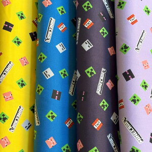 }CNtg IbNXn MINECRAFT CG[/u[/lCr[/x_[(LN^[Ewʉʊw)MYKJ002